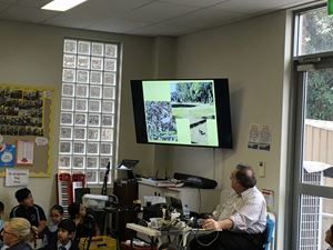 IMG_1252