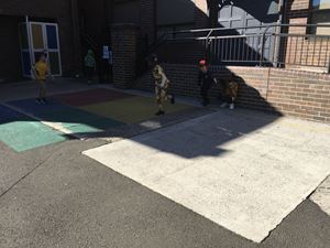 IMG_1309