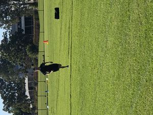 2021 Athletics Carnival 05