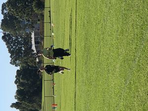 2021 Athletics Carnival 09