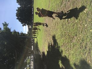 IMG 0222