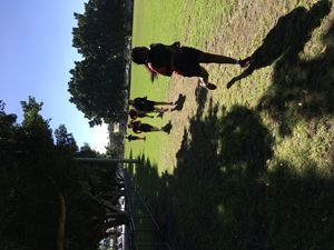IMG 0242