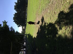 IMG 0244