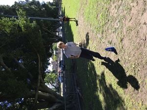IMG 0247