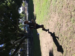 IMG 0253