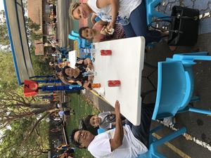 IMG 0741