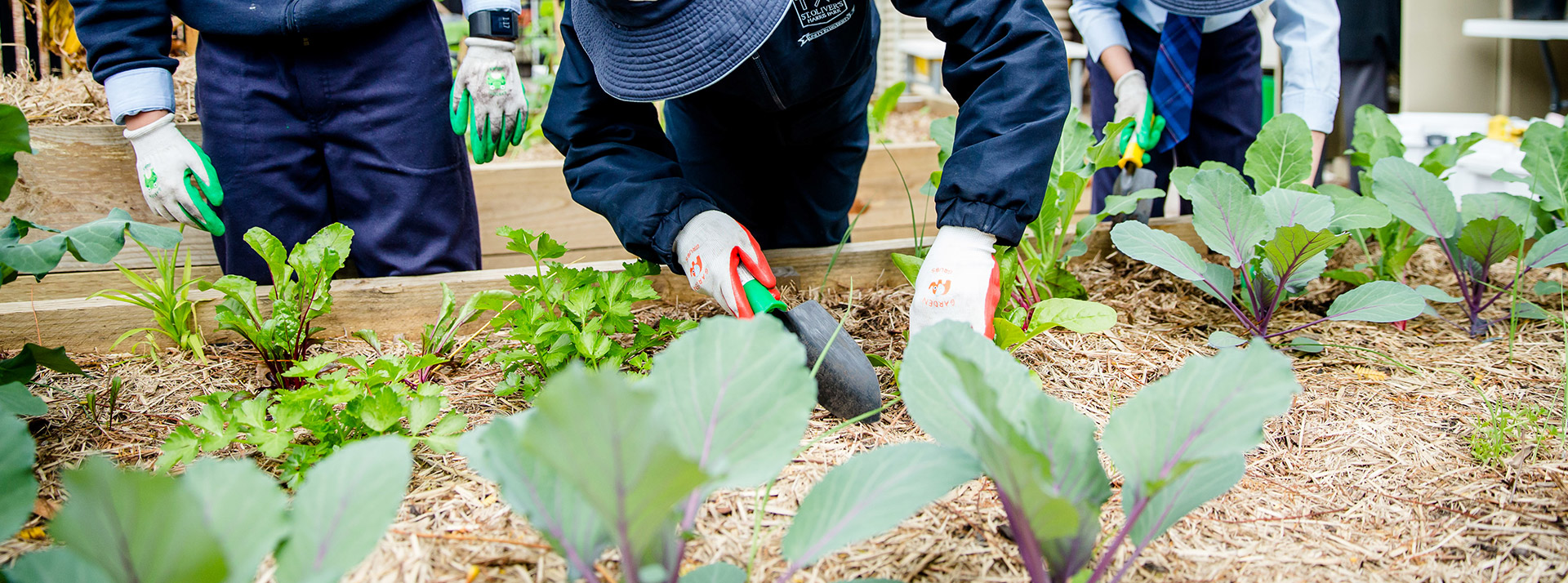 Beyond the Classroom