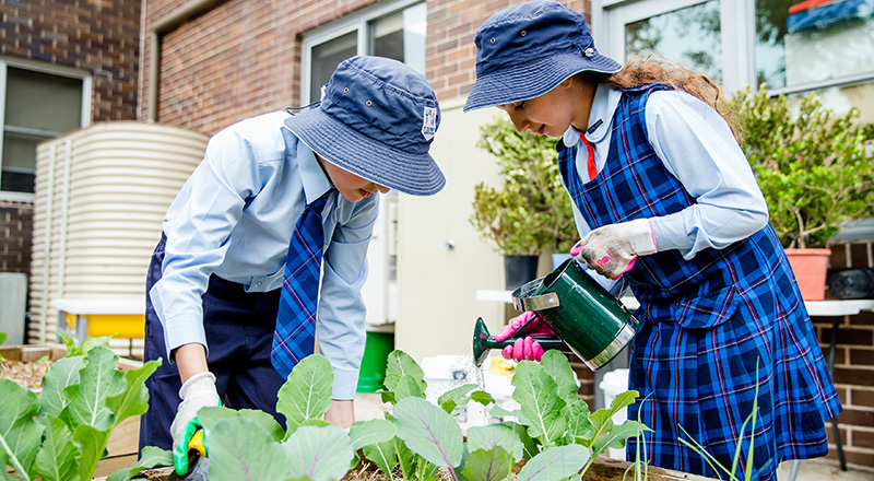 St Oliver's Primary Harris Park Gardening Club