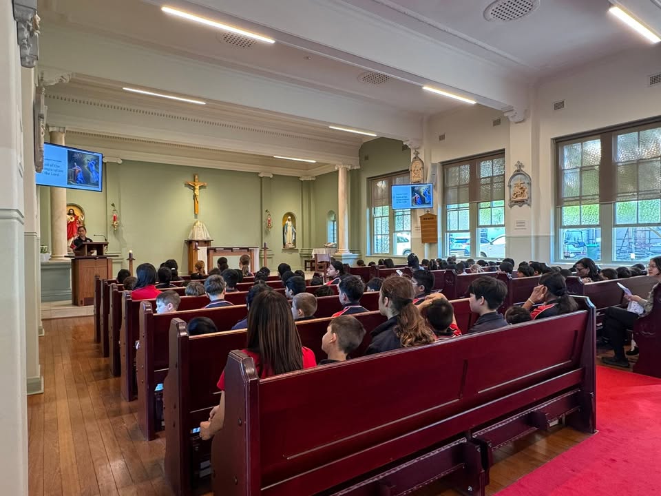 725697182898692_1521815923286810-1